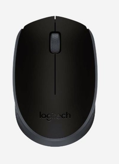 LOGITECH  Souris Sans Fil M171 Bleue