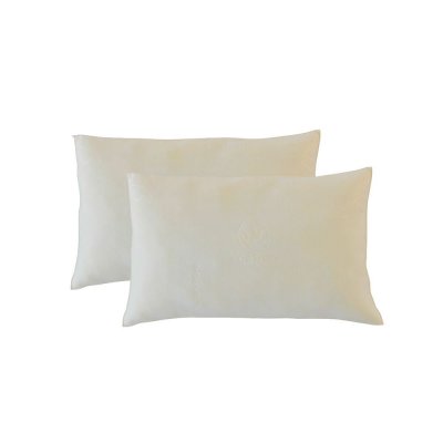 OLYMPE LITERIE Lot de 2 oreillers 30x50 M&eacute;moire de forme s