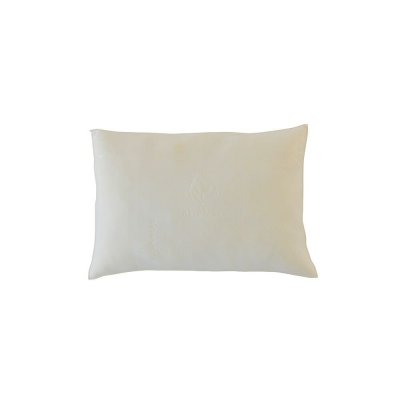 OLYMPE LITERIE Lot de 2 oreillers 50x70 M&eacute;moire de forme s
