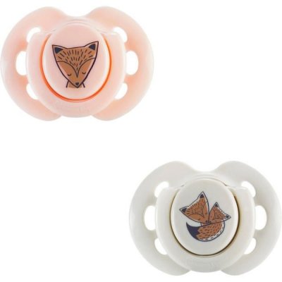 TOMMEE TIPPEE Lot de 2 sucettes closer to nature fun 0-6m - 