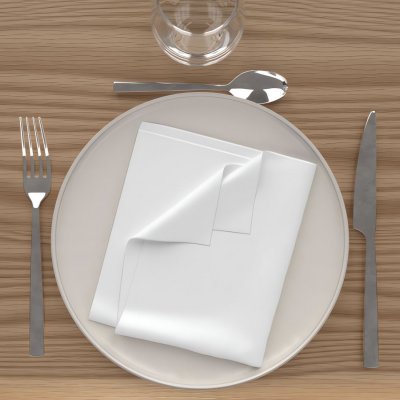 SOLEIL D OCRE Lot de 3 serviettes de table 40x40 cm ALIX blanc, par Soleil d'Ocre