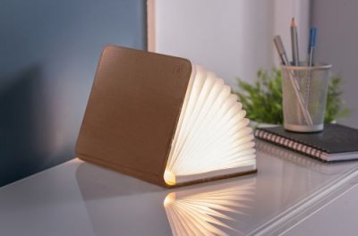 GINGKO Lumi&egrave;re livre intelligente  en cuir grand brun