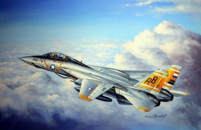 HOBBY BOSS Maquette avion  Grumman F-14A Tomcat- 1/48 - Maquette d'avi