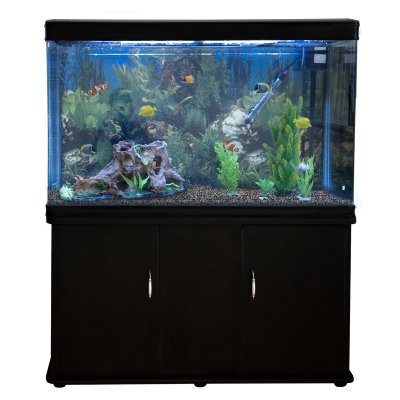 MONSTERSHOP  Aquarium &agrave; bords Noir avec Meuble Noir 