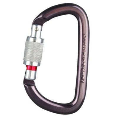 PETZL Mousqueton escalade Amd Screw Lock - Violet