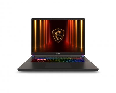 MSI  Vector 17 HX AI A2XWIG-010FR 17"" Intel Core Ultra 9 32 Go Gris 2 To