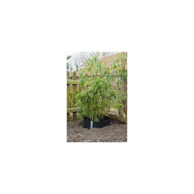 NATURE  - B&acirc;che anti-racines 0,7x5 m pehd Noir 6030227 Noir