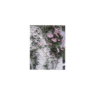 NATURE  - Treillis extensible plastique vert - 100x200cm