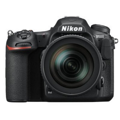 NIKON  d500 + 16-80mm f/2.8-4e ed vr