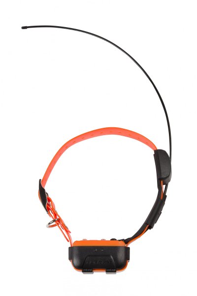NUM AXES Num'Axes Localisation GPS Collier Seul CANICOM GPS