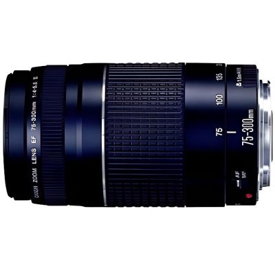 CANON Objectif  EF 75-300mm f/4-5.6 III