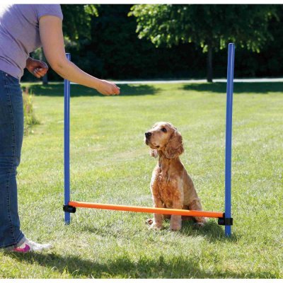 TRIXIE Obstacle Agility  pour chiens