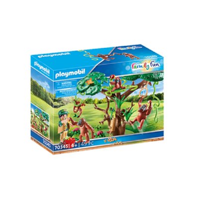 Orangs outans  avec grand arbre