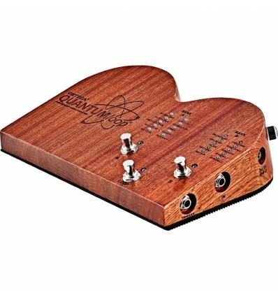 ORTEGA  Quantumloop Multi Digital Expression Stomp Box Avec Looper