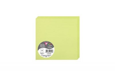 POLLEN BY CLAIREFONTAINE Pack de 25 cartes pli&eacute;es Pollen 135 x 135 mm Vert Bourgeon
