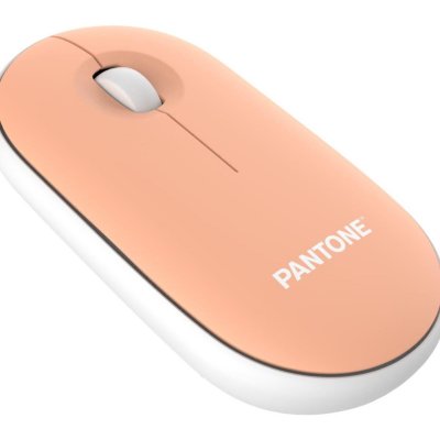 PANTONE  PT-MS001E souris Maison RF sans fil Laser 100 DPI - Neuf