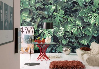 KOMAR Papier Peint Photo Murale Grandes Feuilles 368x254 CM