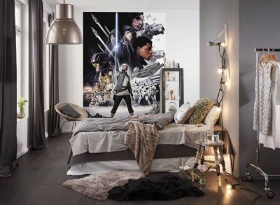 KOMAR Papier peint star wars - &eacute;quilibre (184 x 254 cm)