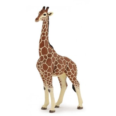 PAPO  - 50149 - Figurine - Girafe M&acirc;le