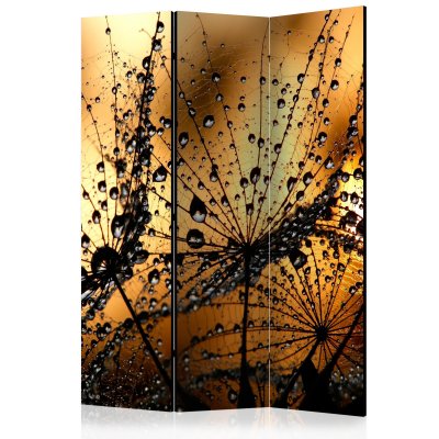 Paravent 3 volets - dandelions in the rain [room dividers]