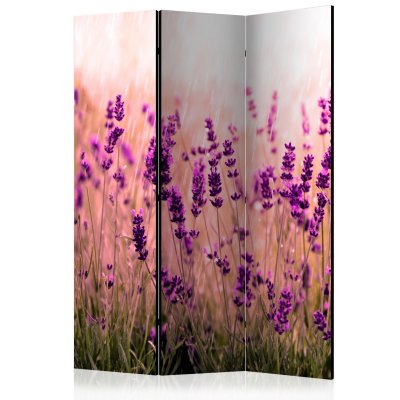 Paravent 3 volets - lavender in the rain [room dividers]