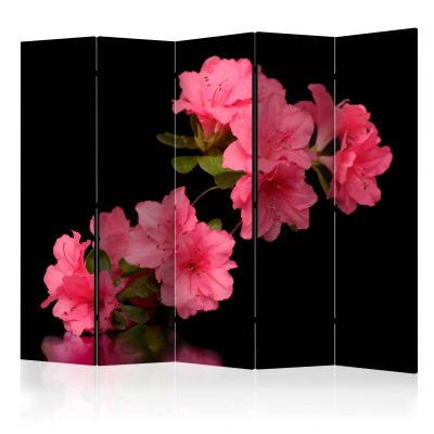 Paravent 5 volets - Azalea in Black II [Room Dividers] 225x172