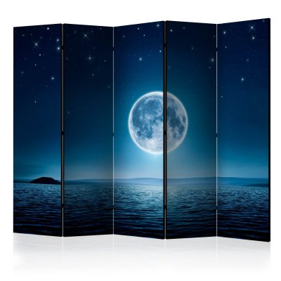 Paravent 5 volets - moonlit night ii [room dividers] A1-PARAVENTtc0428