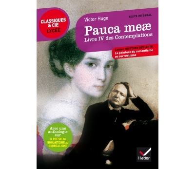 Pauca meae (Livre IV des Contemplations)