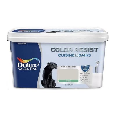 DULUX VALENTINE Peinture Color Resist Cuisine et Bains - Galet - Satin - 2L