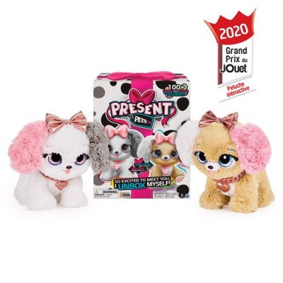 PRESENTS PETS Peluche Cadeau Pets Surprise - Fancy Pups
