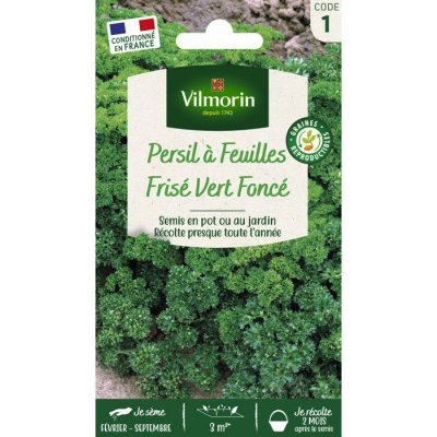 VILMORIN Persil fris&eacute; vert fonc&eacute;  5 g