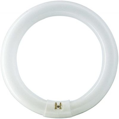 PHILIPS  - G10Q Circline 32W 6500K /865 [Classe &eacute;nerg&eacute;tique A]