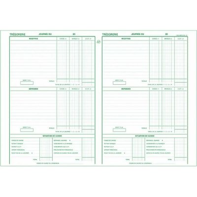EXACOMPTA Piqure 27 X 19,5 Cm Brouillard Journalier Ref 79 