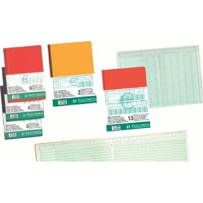 EXACOMPTA Piq&ucirc;re  T&ecirc;te paresseuse 29,7x21cm 2 colonnes/1 page 80p