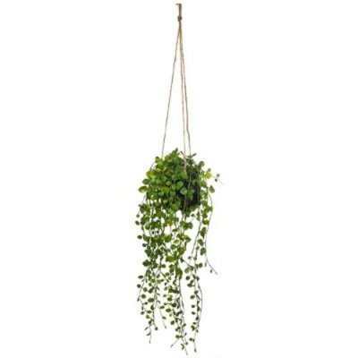 ATMOSPHERA Plante artificielle &agrave; suspendre Pot en ciment - Lierre - 