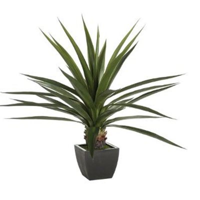 ATMOSPHERA Plante grasse en pot h. 130 cm instinct naturel - 
