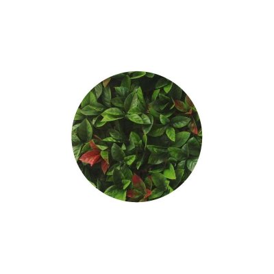 JET7GARDEN Plaque carr&eacute;e red robin dentel&eacute;  - Vert - 12 x 50 cm x 50 cm