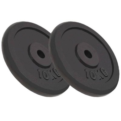 VIDAXL Plaque de poids 2 pcs 2x10 kg Fonte  n/a