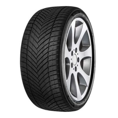 MINERVA Pneu Quatre saisons  AS MASTER 225/60 R16 102V