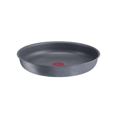TEFAL Po&ecirc;le &Oslash;24 cm Ingenio Natural Force Gris 