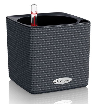 LECHUZA Pot Cube Color 14  Kit Complet Anthracite - 14 cm - Anthracite
