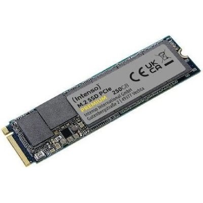 INTENSO PREMIUM - SSD - 250 Go - interne - M.2 2280 - PCIe 3.0 x4 (NVMe)