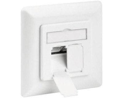 GOOBAY Prise r&eacute;seau encastr&eacute; insert avec plaque centrale et ch&acirc;ssis CAT 6A 2 po