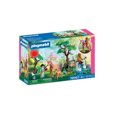 Promopack Journ&eacute;e Des F&eacute;es 72067 Multicolore