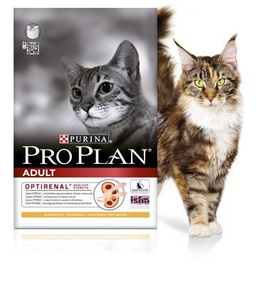 PRO PLAN Proplan Original Chat Adult Optisenses Saumon