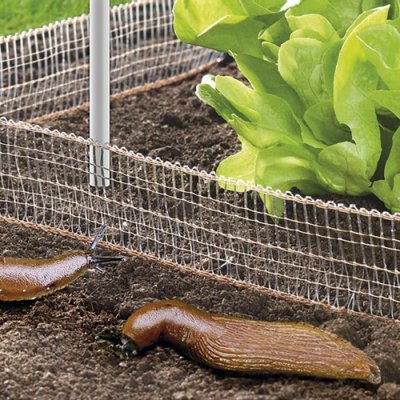 WENKO Provence Outillage Filet Stop limaces et escargots 8 m
