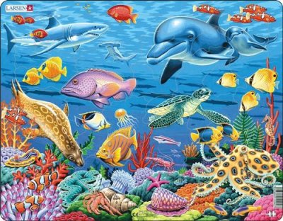 LARSEN Puzzle Cadre - Animaux et R&eacute;cifs de Coraux 