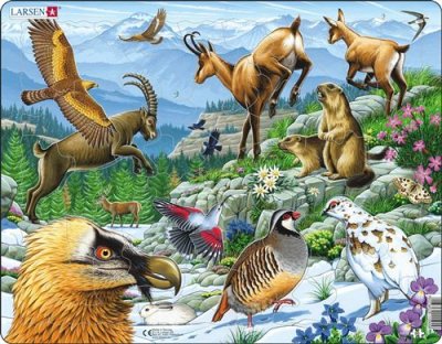 LARSEN Puzzle Cadre - Les Animaux de la Montagne 