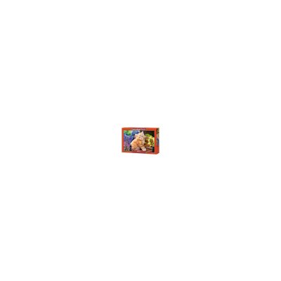 CASTORLAND Puzzle Ginger Kitten 