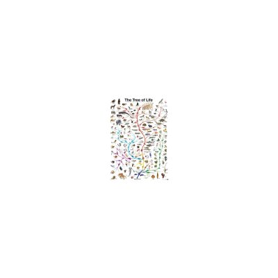 EUROGRAPHICS Puzzle L'&eacute;volution - l'arbre de vie 